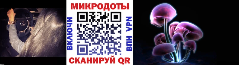 Псилоцибиновые грибы прущие грибы  купить наркотики сайты  Заозёрный 