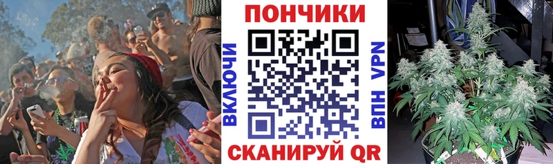 Бошки Шишки семена Заозёрный